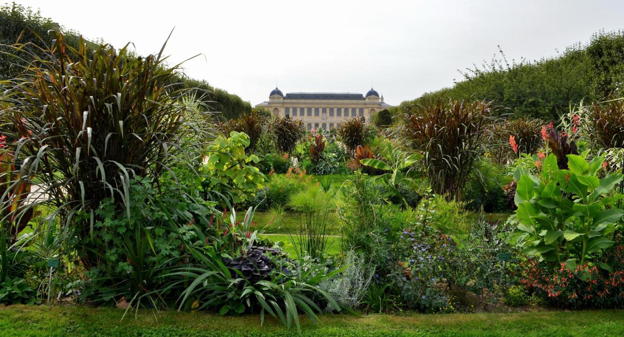 So Paris Group - Fully Serviced Apartment - Jardin Des Plantes - Heart Of Paris Exterior foto